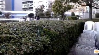 一本之道69芒果老司机㊙️➕外国av在线下载网站